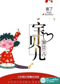 宝贝儿章节列表