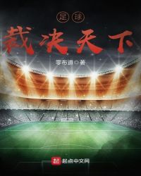 足球裁决天下章节列表