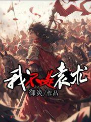 我不是袁术章节列表