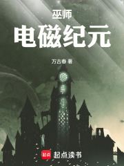 巫师：电磁纪元章节列表