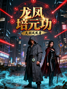 龙凤培元功章节列表