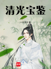 清光宝鉴章节列表