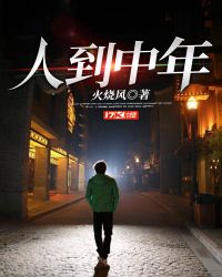 人到中年章节列表
