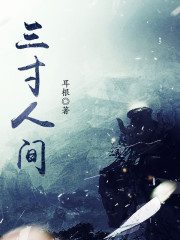 三寸人间小说章节列表